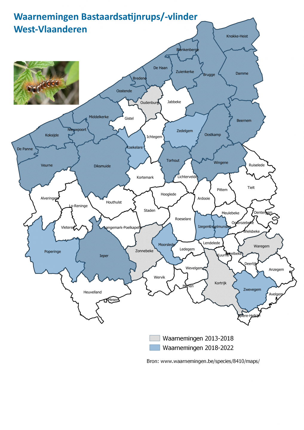 Logo Brugge-Oostende: meldingen en waarnemingen bastaardsatijnrups West-Vlaanderen