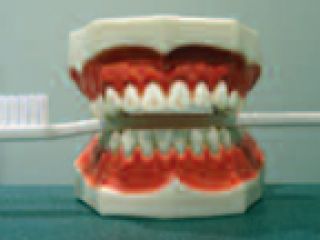 tandenkoffer